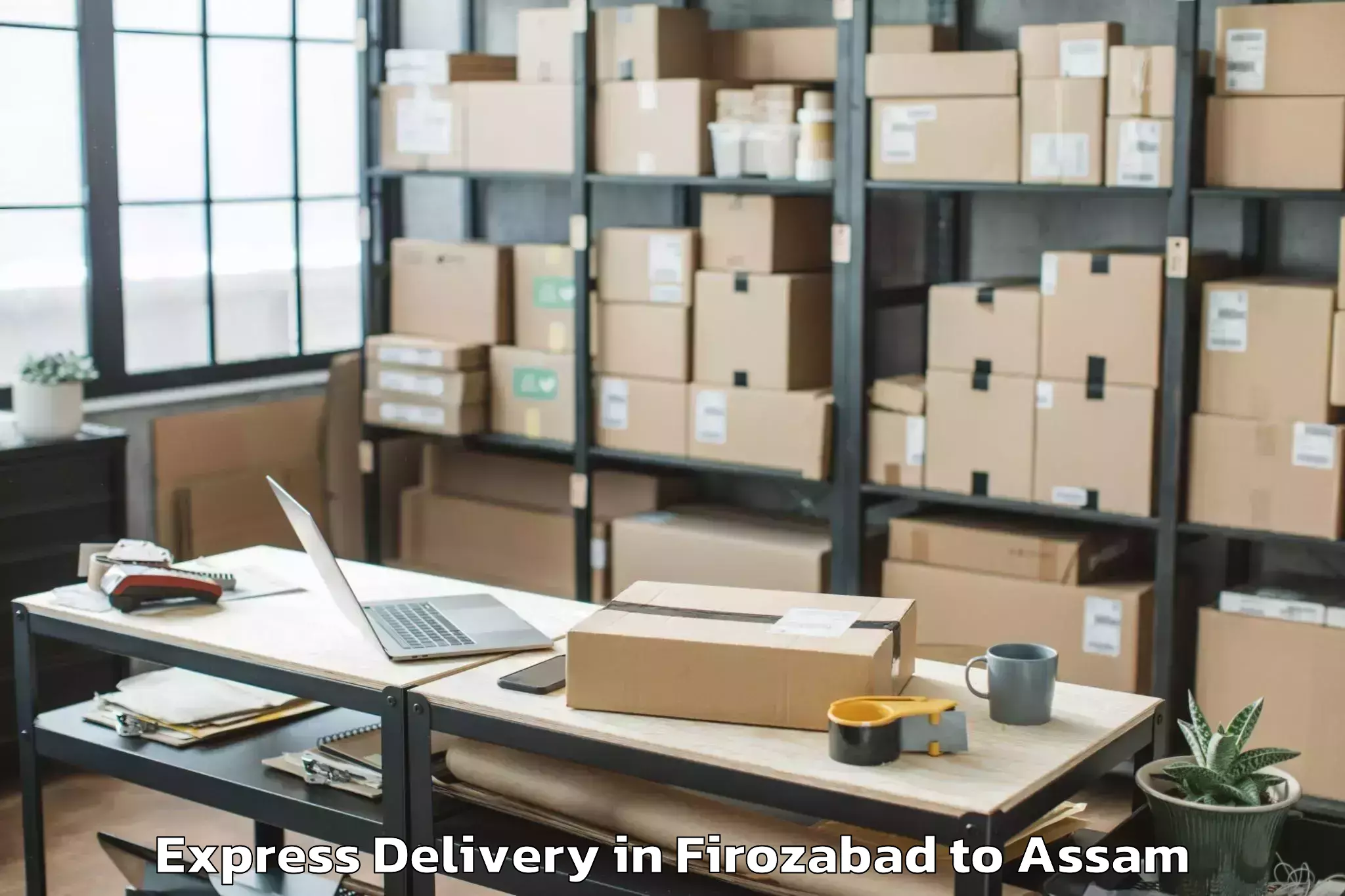 Affordable Firozabad to Jorhat West Express Delivery